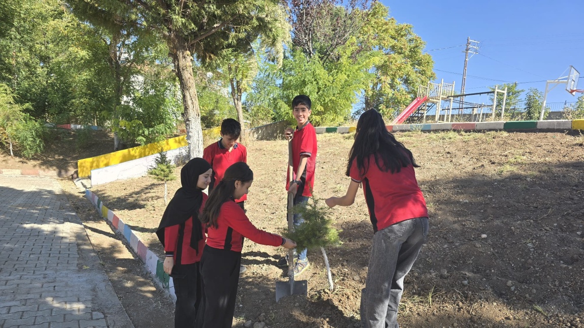 İlk Ders Yeşil Vatan